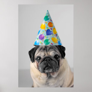 Póster Fiesta Pug