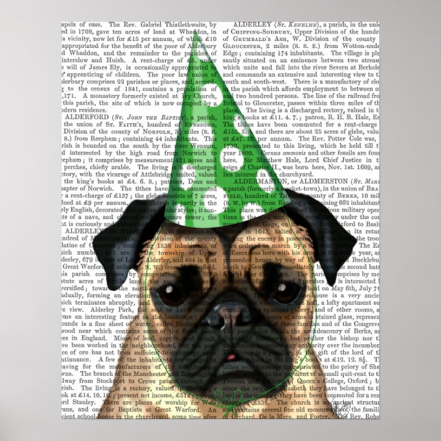 Póster Fiesta Pug (Frente)