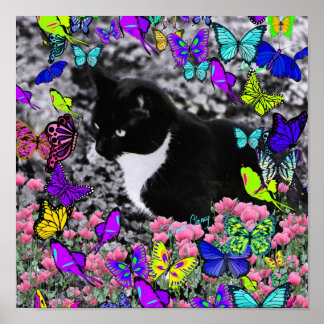 Póster Fiestas en mariposas II - Gato de Tuxedo