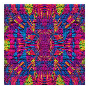 Póster ¡¡¡Fiestas salvajes!!!