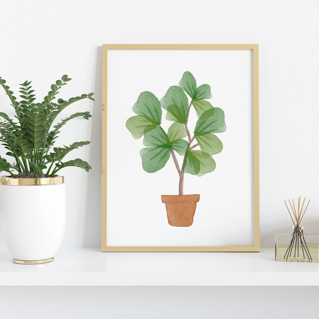 Póster Fig Watercolor De Leaf De Fiddle (Subido por el creador)