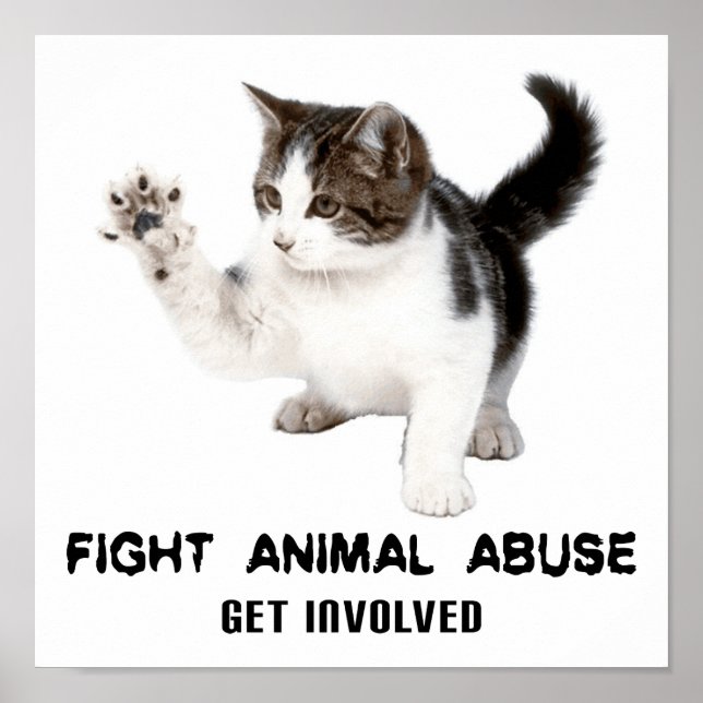 PÓSTER FIGHT ANIMAL ABUSE KITTEN POSTER (Frente)