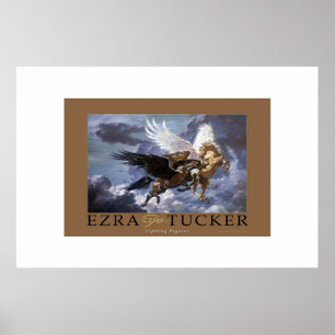 Póster Fighting Pegasus