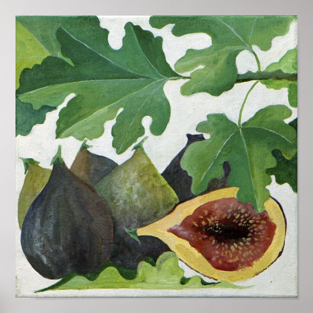 Póster Figs 2013 (Frente)