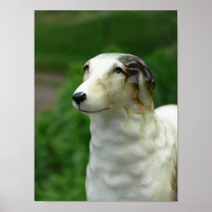Póster Figura de Borzoi