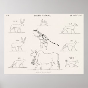 Póster Figuras animales de las pinturas originales