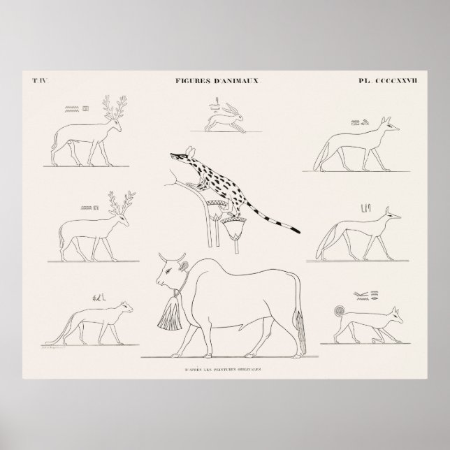 Póster Figuras animales de las pinturas originales (Frente)