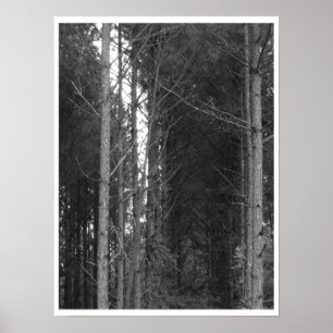 Póster Fila de árbol