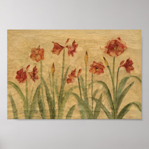 Póster Fila del Amaryllis rojo