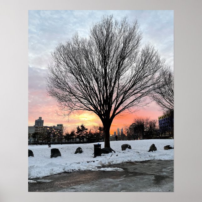 Póster Filadelfia Snowy Sunset with Tree Poster (Frente)