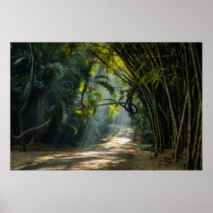 Póster Filas de Bambú