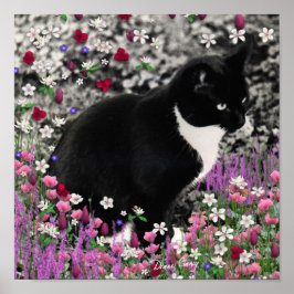 Póster Filas en flores II - Gato de Kitty Tuxedo