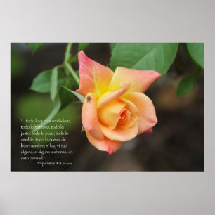 Póster Filipenses 4:8 con rosa