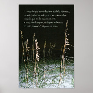 Póster Filipenses 4-8b