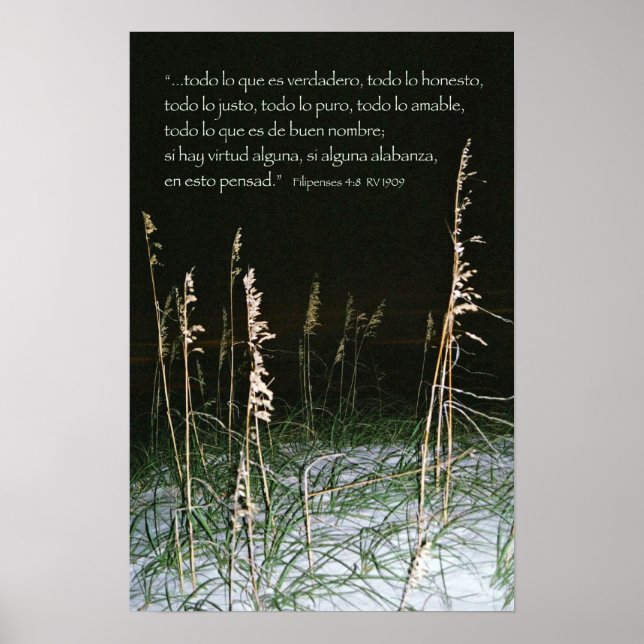 Póster Filipenses 4-8b (Frente)