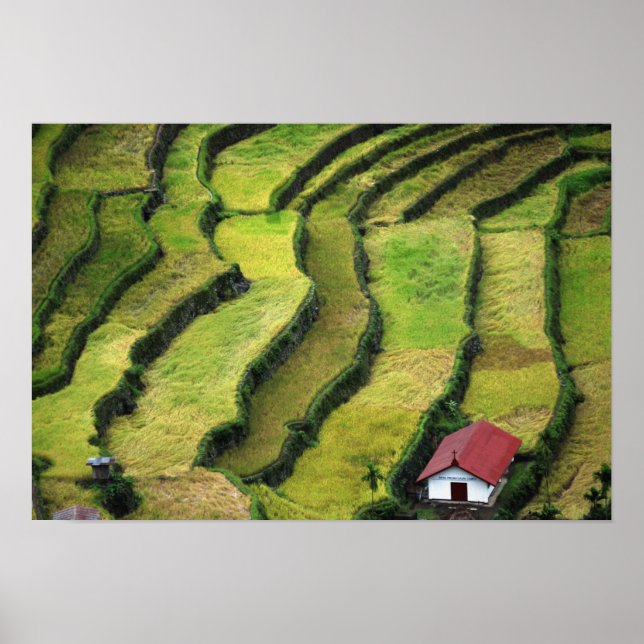 Póster Filipinas, Batad, vista elevada de arroz (Frente)