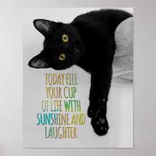 Póster Fill Your Cup Of Life Black Cat Motivational Quote