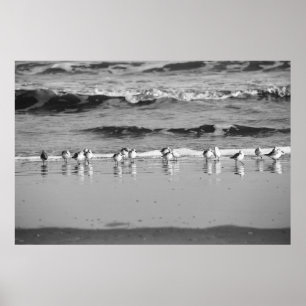 Póster Fin de la línea