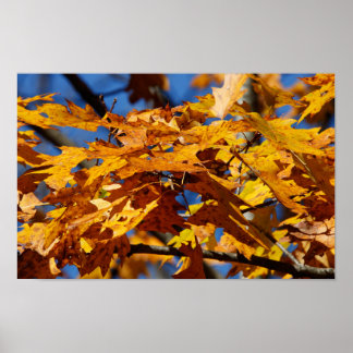 Póster Fin de otoño