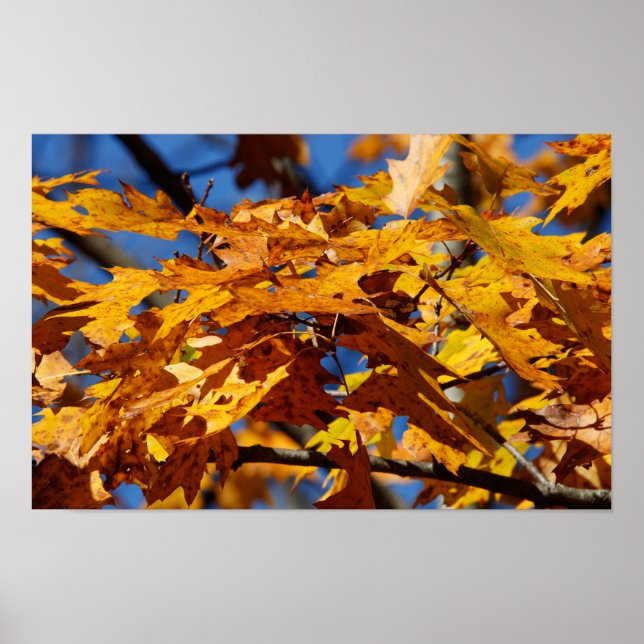 Póster Fin de otoño (Frente)