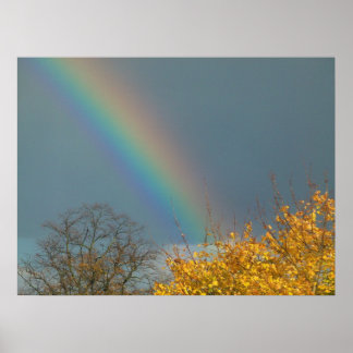 Póster Fin del arcoiris