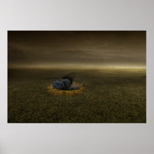 Póster Fin del objetivo 2013