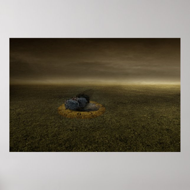 Póster Fin del objetivo 2013 (Frente)