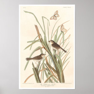 Póster Finca de MacGillivray por Audubon Poster