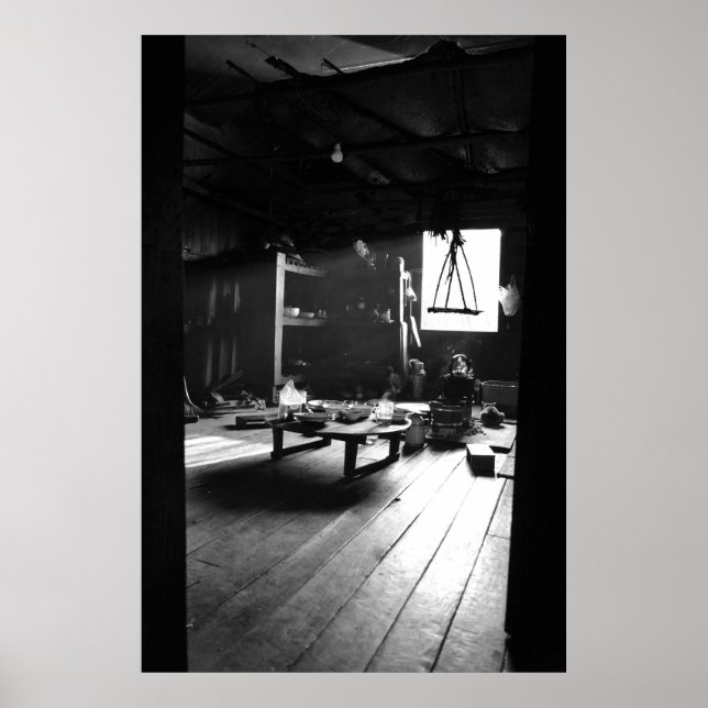 Póster Find the Cat! (Frente)