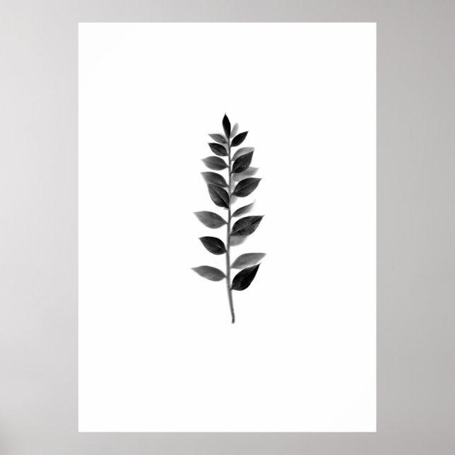 Póster Fine Art Nature Poster (Frente)