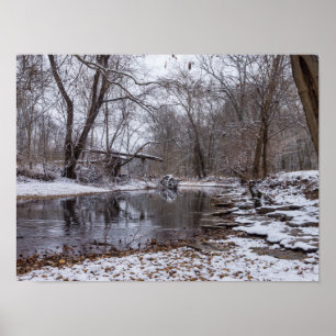 Póster Finley Winter Snow