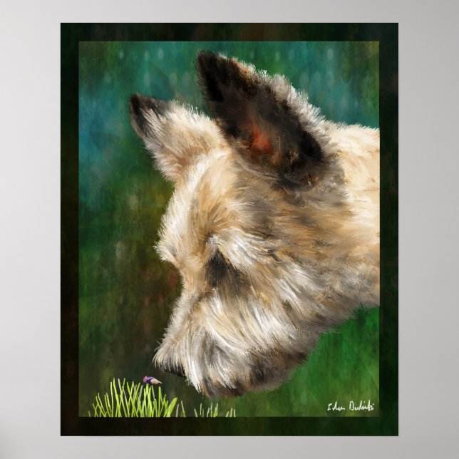 Póster Finn (Frente)