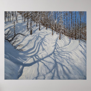 Póster Fir Tree Shadows Tignes 2009