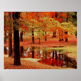 Póster Fire and Rain