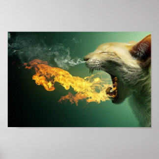 Póster Fire Breathing Cat Poster