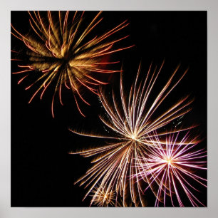 Póster Fire Flower