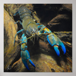 Póster Firmado Smooth Yabby Poster