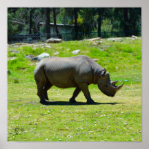Firmado Taronga Western Plains Zoo Dubbo - Rhino