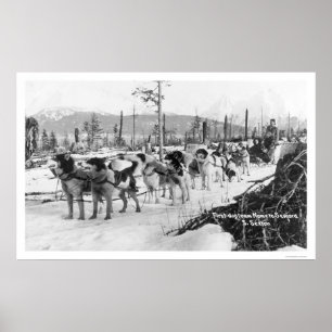 Póster First Dog Team Alaska 1910