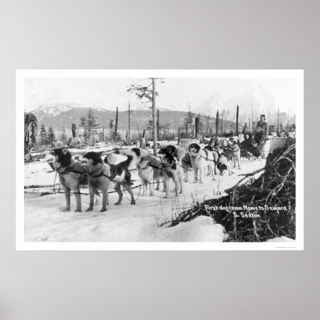 Póster First Dog Team Alaska 1910 (Frente)