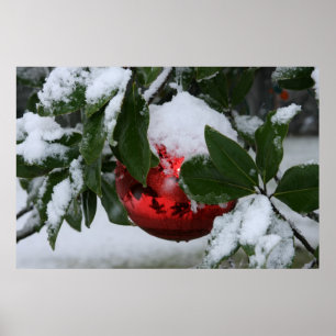 Póster first snow
