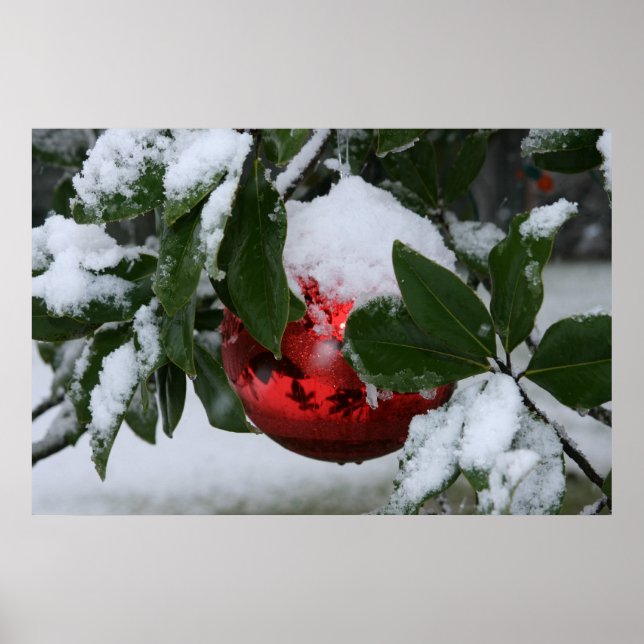 Póster first snow (Frente)