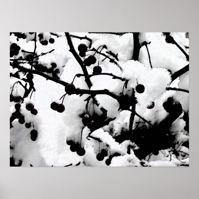 Póster First Snow (Frente)