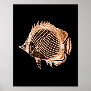 Póster Fish coastal nautical ocean beach sea black
