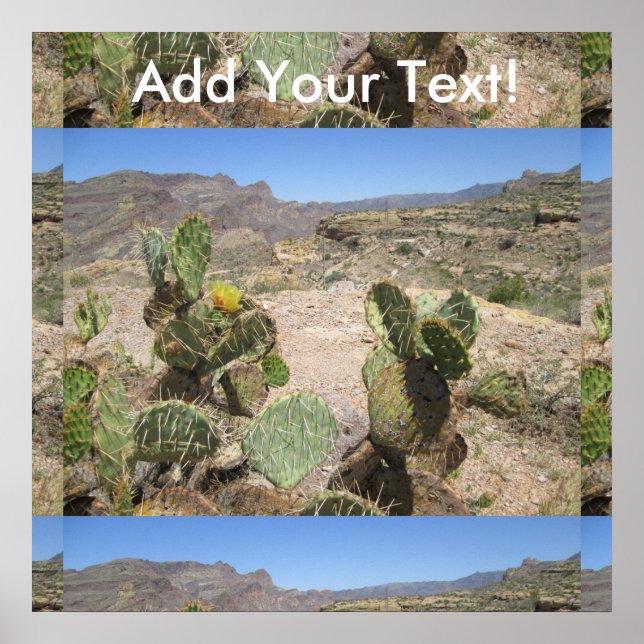 Póster Fish Creek Hill Vista Pricky Cactus (Frente)