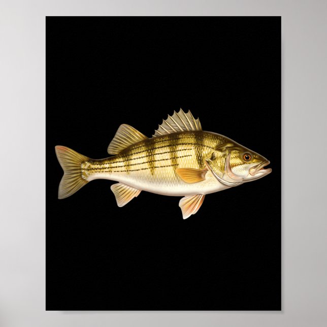 Póster Fish Ed B Er Fishing Art For Anglers  (Frente)