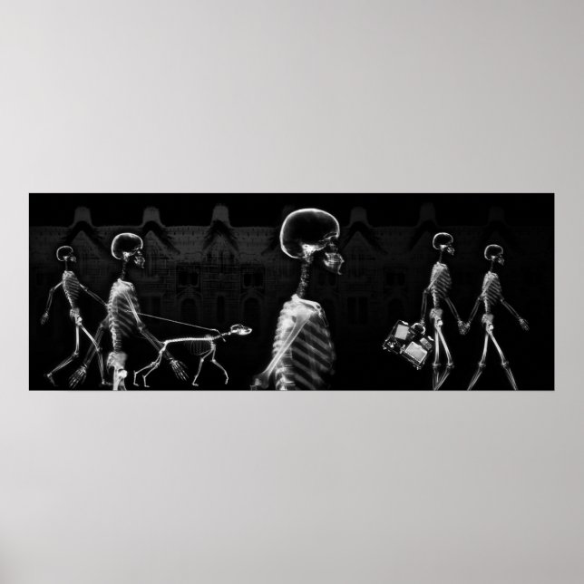 Póster Fish Tank BKRD X-Ray Skeletons Midnight Stroll B&W (Frente)