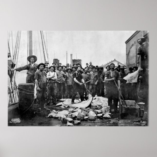 Póster Fishermen 1888 Puget Sound - Washington (Frente)