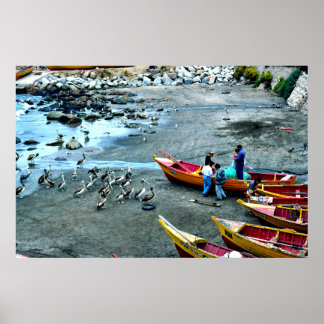 Póster Fishermen and pelicans, Valparaiso, Chile