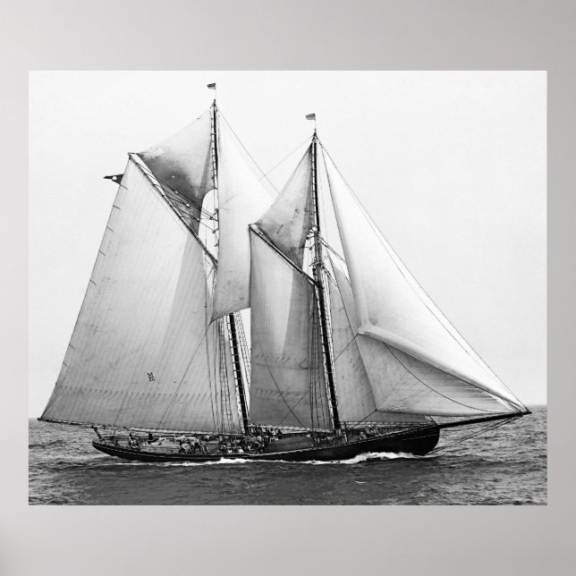 Póster Fishing Schooner (Frente)